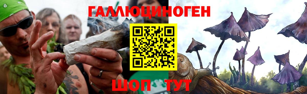 Галлюциногенные грибы Psilocybe  Вход с VPN  хочу   Каспийск 